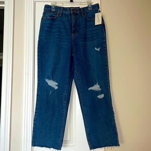 Universal Thread Vintage Straight Jeans